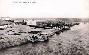 2291- Tenes - Retour de Peche